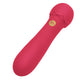 Secret Kisses ROSEGASM Lush Bliss Bullet - Red 10.8 cm USB Rechargeable Bullet
