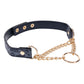 Sex & Mischief Cougar Day Collar - Navy Blue/Gold Collar