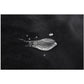Pivot Protector - Black Triple-Layered Waterproof Blanket